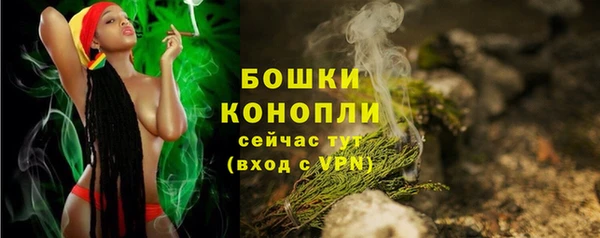индика Беломорск