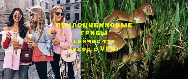 индика Беломорск