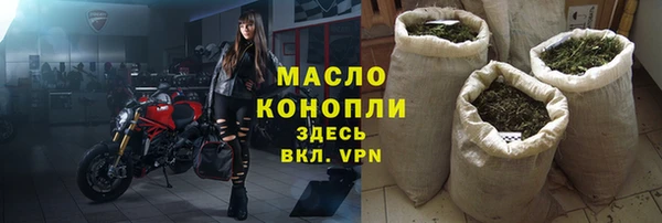 индика Беломорск
