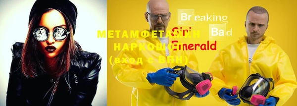 индика Беломорск
