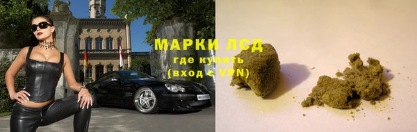 индика Беломорск