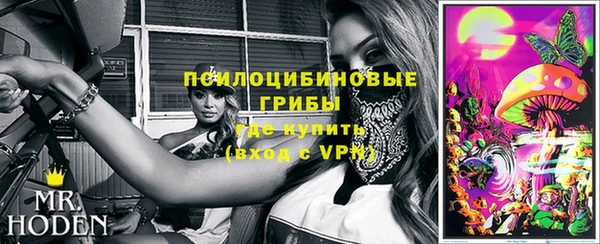 индика Беломорск