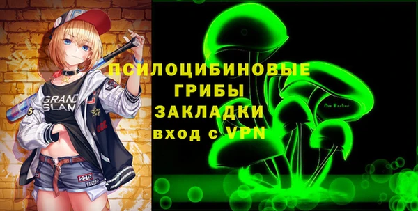 индика Беломорск
