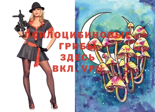 метадон Белокуриха