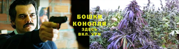 индика Беломорск