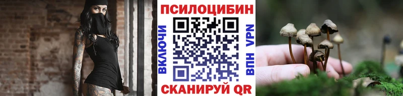 магазин продажи наркотиков  МЕГА маркетплейс  Галлюциногенные грибы Psilocybe  Богданович 