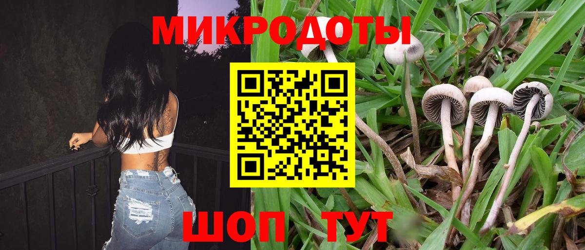 Богданович  Галлюциногенные грибы прущие грибы  купить  сайты  Вход с VPN 