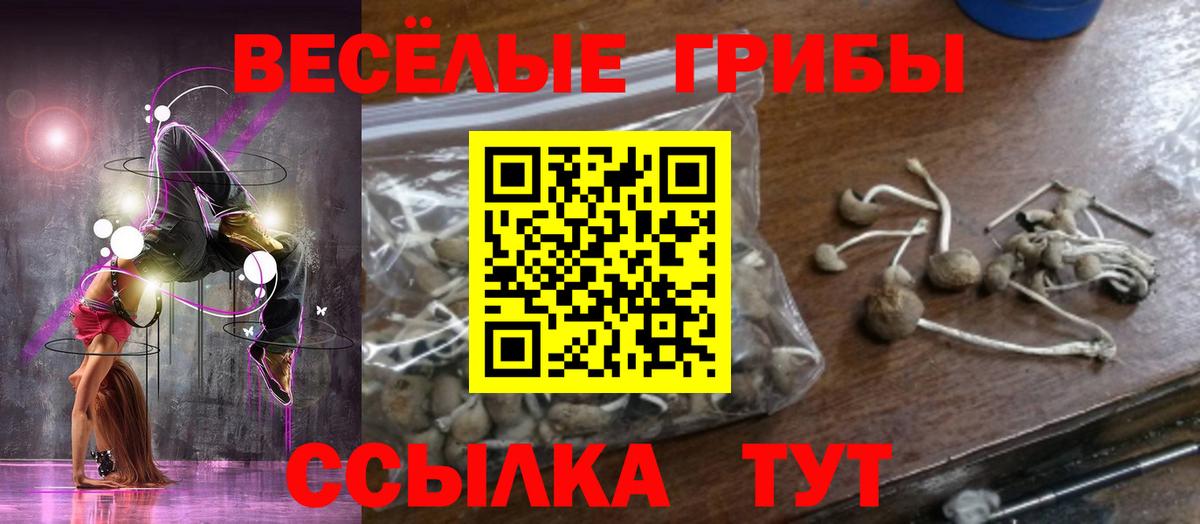 Псилоцибиновые грибы MAGIC MUSHROOMS Богданович
