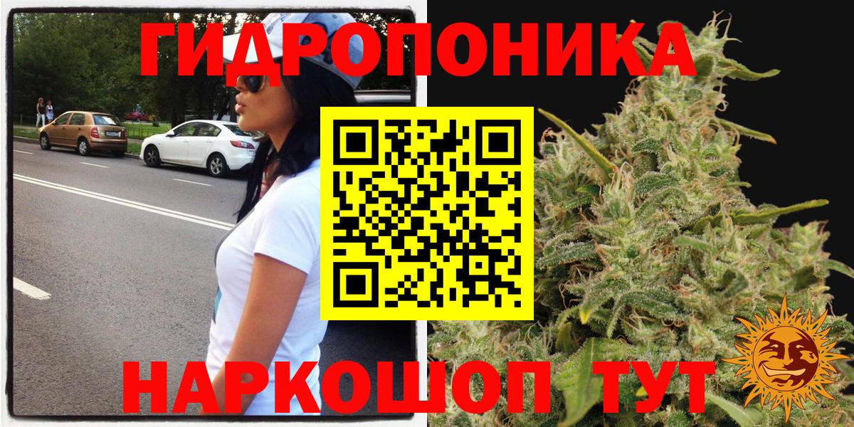 Богданович  МАРИХУАНА сатива  Шишки марихуана SATIVA & INDICA  Вход с VPN  Конопля OG Kush 